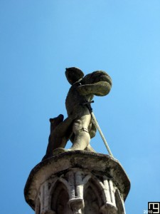 Rencontre entre un ours et un homme