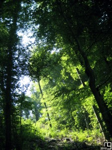 A trente mètre du centre-ville