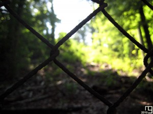 Pendant ce temps-là