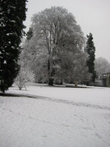 Le grand blanc, Baden, Suisse