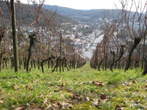 Piste rouge, Baden, Suisse