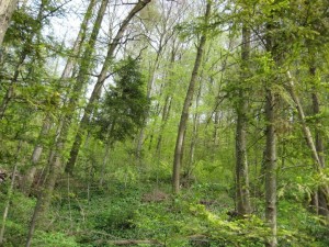 Respirez !, Baden, Suisse