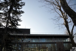 Végétation studieuse