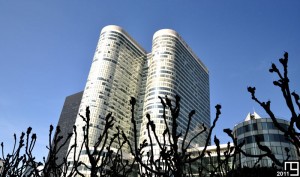 The Rise of the Trees