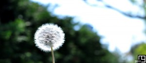 Souffler n'est pas jouer