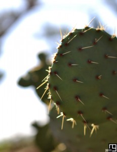 Histoire compliquée