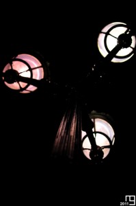 Brothers and sisters